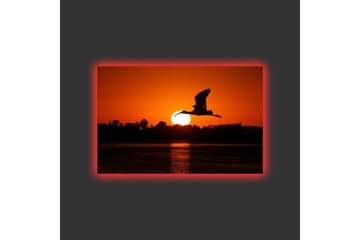 Lerretsbilde med LED-belysning - Silhuett av en fugl som flyr mot en solnedgang - Oransje / Svart - Interiør - Maleri & posters - Lerretsbilder