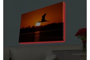 Lerretsbilde med LED-belysning - Silhuett av en fugl som flyr mot en solnedgang - Oransje / Svart - Interiør - Maleri & posters - Lerretsbilder