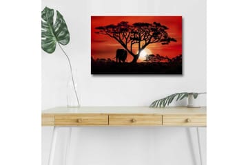 Lerretsbilde med LED-belysning - Silhuett av et tre med en elefant i solnedgangens lys - Rød / Svart / Oransje - Interiør - Maleri & posters - Lerretsbilder