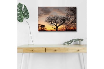 Lerretsbilde med LED-belysning - Silhuett av et tre mot en fargerik solnedgang - Mørk brun / Oransje / Gul - Interiør - Maleri & posters - Lerretsbilder