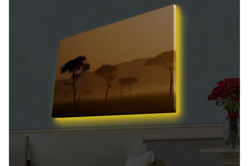 Lerretsbilde med LED-belysning - Silhuetter av trær i et tåkete, gyllent landskap - Gull / Svart - Interiør - Maleri & posters - Lerretsbilder