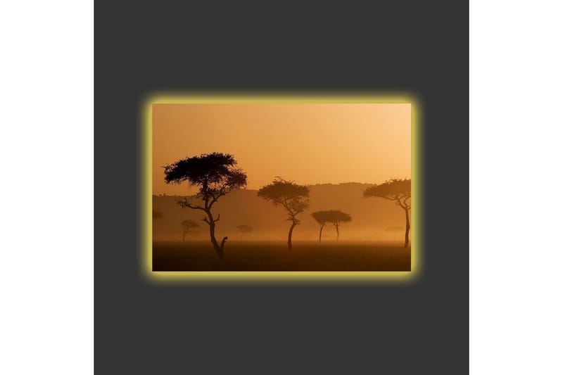 Lerretsbilde med LED-belysning - Silhuetter av trær i et tåkete, gyllent landskap - Gull / Svart - Interiør - Maleri & posters - Lerretsbilder
