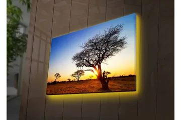 Lerretsbilde med LED-belysning - Silhuetter av trær mot en solnedgang på savannen - Gull / Blå / Svart - Interiør - Maleri & posters - Lerretsbilder