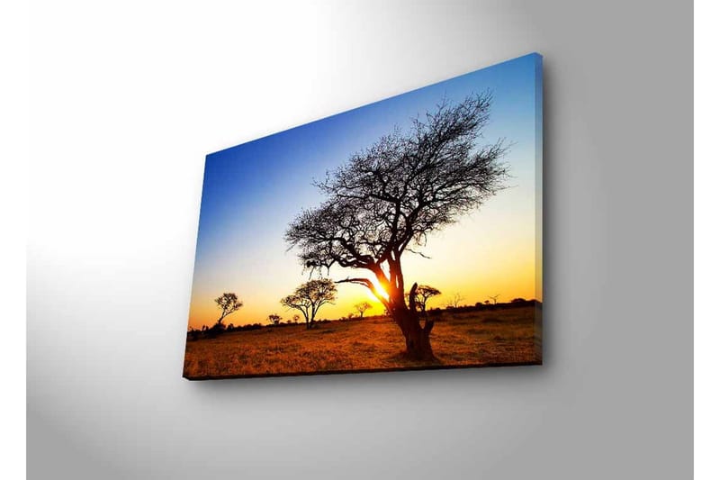 Lerretsbilde med LED-belysning - Silhuetter av trær mot en solnedgang på savannen - Gull / Blå / Svart - Interiør - Maleri & posters - Lerretsbilder