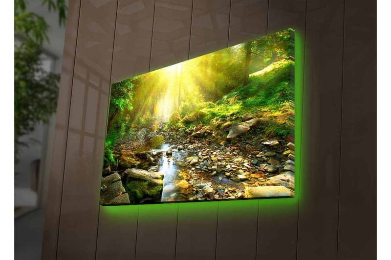 Lerretsbilde med LED-belysning - Solbelyst skog med en klukkende bekk - Grønn / Gul / Brun - Interiør - Maleri & posters - Lerretsbilder