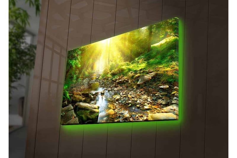 Lerretsbilde med LED-belysning - Solbelyst skog med en klukkende bekk - Grønn / Gul / Brun - Interiør - Maleri & posters - Lerretsbilder