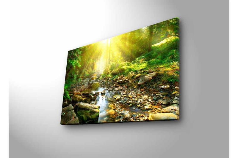 Lerretsbilde med LED-belysning - Solbelyst skog med en klukkende bekk - Grønn / Gul / Brun - Interiør - Maleri & posters - Lerretsbilder