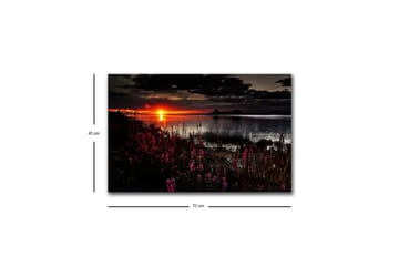 Lerretsbilde med LED-belysning - Solnedgang over en speilblank innsjø med blomstrende planter i forgrunnen - Mørk rosa / Oransje / Svart - Interiør - Maleri & posters - Lerretsbilder