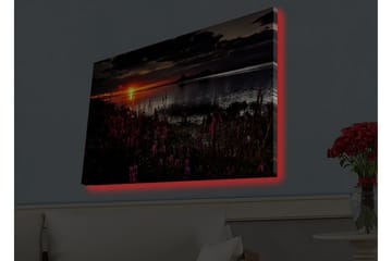 Lerretsbilde med LED-belysning - Solnedgang over en speilblank innsjø med blomstrende planter i forgrunnen - Mørk rosa / Oransje / Svart - Interiør - Maleri & posters - Lerretsbilder