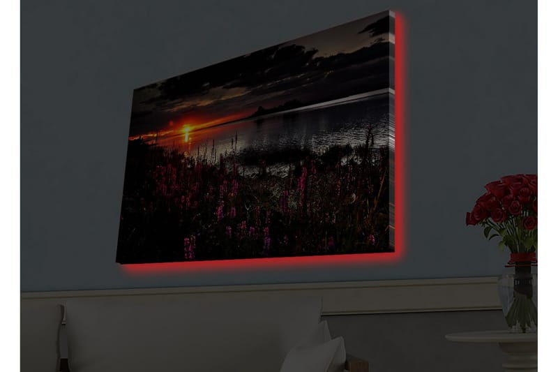 Lerretsbilde med LED-belysning - Solnedgang over en speilblank innsjø med blomstrende planter i forgrunnen - Mørk rosa / Oransje / Svart - Interiør - Maleri & posters - Lerretsbilder