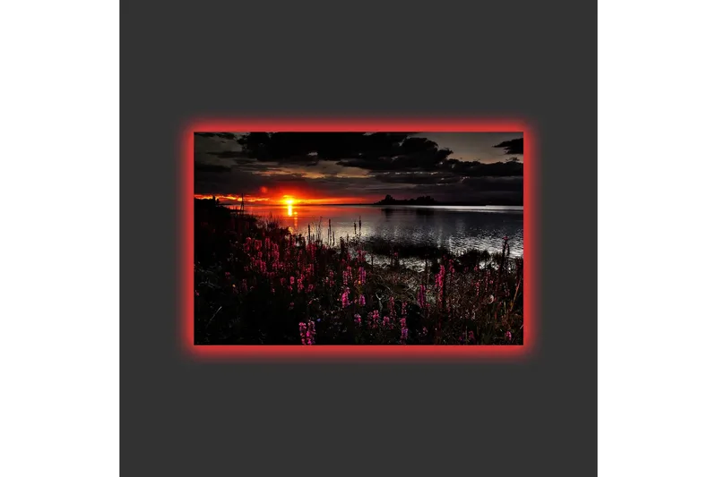 Lerretsbilde med LED-belysning - Solnedgang over en speilblank innsjø med blomstrende planter i forgrunnen - Mørk rosa / Oransje / Svart - Interiør - Maleri & posters - Lerretsbilder