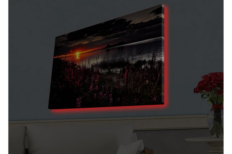 Lerretsbilde med LED-belysning - Solnedgang over en speilblank innsjø med blomstrende planter i forgrunnen - Mørk rosa / Oransje / Svart - Interiør - Maleri & posters - Lerretsbilder