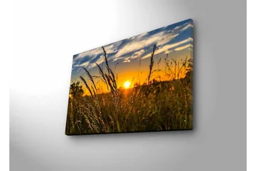 Lerretsbilde med LED-belysning - Solnedgang over et felt med gresstrå i forgrunnen - Gull / Oransje / Blå - Interiør - Maleri & posters - Lerretsbilder