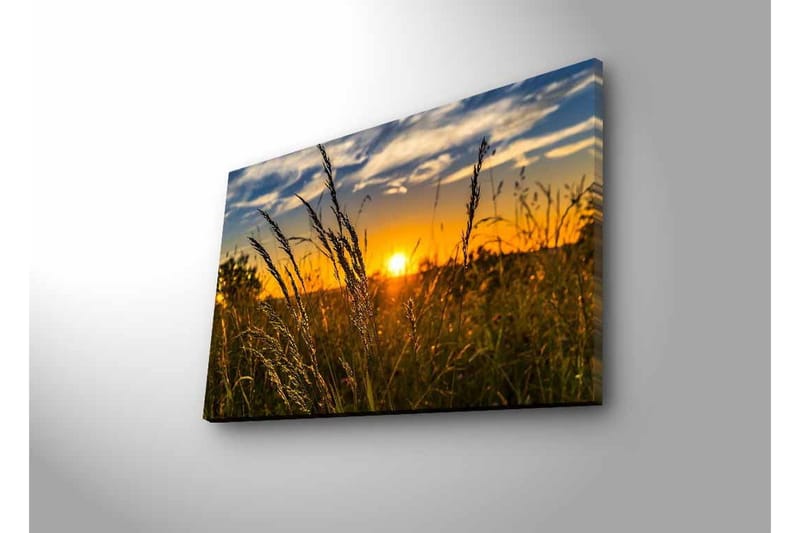 Lerretsbilde med LED-belysning - Solnedgang over et felt med gresstrå i forgrunnen - Gull / Oransje / Blå - Interiør - Maleri & posters - Lerretsbilder