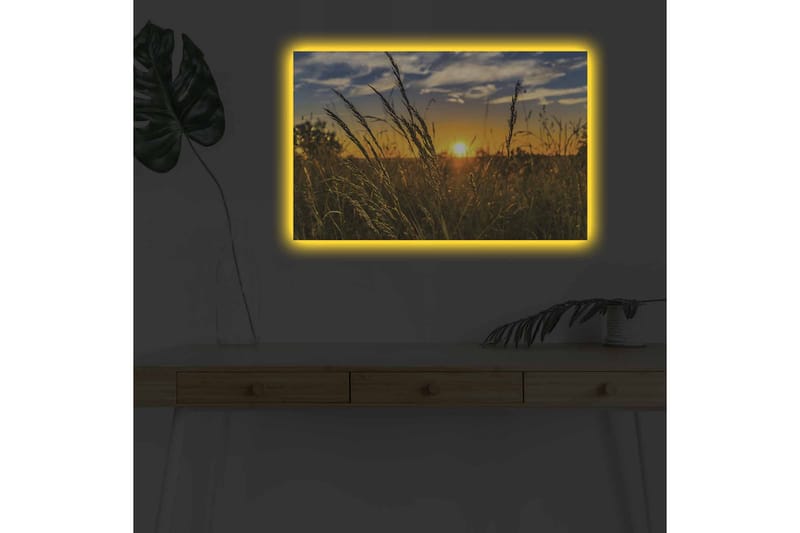 Lerretsbilde med LED-belysning - Solnedgang over et felt med gresstrå i forgrunnen - Gull / Oransje / Blå - Interiør - Maleri & posters - Lerretsbilder
