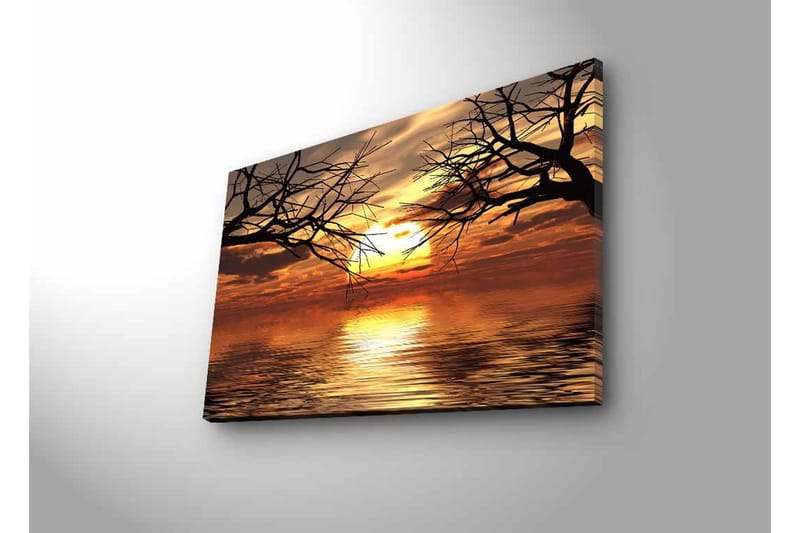 Lerretsbilde med LED-belysning - Solnedgang over speillignende vannflater med silhuetter av tregrener - Gull / Oransje / Svart - Interiør - Maleri & posters - Lerretsbilder
