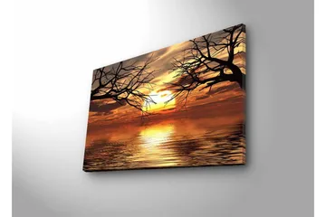 Lerretsbilde med LED-belysning - Solnedgang over speillignende vannflater med silhuetter av tregrener - Gull / Oransje / Svart - Interiør - Maleri & posters - Lerretsbilder