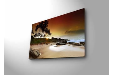 Lerretsbilde med LED-belysning - Solnedgang ved en tropisk strand med palmer og steiner - Mørk brun / Beige / Grønn - Interiør - Maleri & posters - Lerretsbilder
