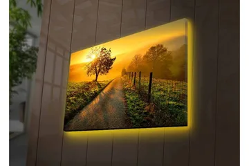 Lerretsbilde med LED-belysning - Soloppgang over en svingete vei med trær og et gjerde - Gull / Grønn / Brun - Interiør - Maleri & posters - Lerretsbilder