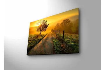 Lerretsbilde med LED-belysning - Soloppgang over en svingete vei med trær og et gjerde - Gull / Grønn / Brun - Interiør - Maleri & posters - Lerretsbilder