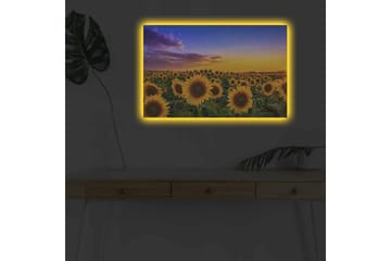 Lerretsbilde med LED-belysning - Solsikkefelt under en fargerik himmel - Gul / Grønn / Blå - Interiør - Maleri & posters - Lerretsbilder