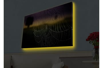 Lerretsbilde med LED-belysning - Spindelvev med duggdråper i mykt lys - Svart / Grå / Gull - Interiør - Maleri & posters - Lerretsbilder