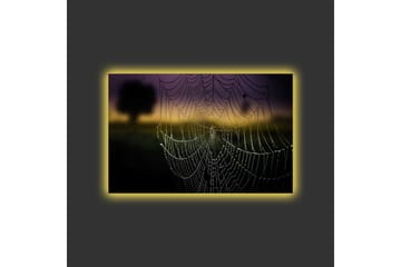 Lerretsbilde med LED-belysning - Spindelvev med duggdråper i mykt lys - Svart / Grå / Gull - Interiør - Maleri & posters - Lerretsbilder
