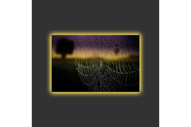Lerretsbilde med LED-belysning - Spindelvev med duggdråper i mykt lys - Svart / Grå / Gull - Interiør - Maleri & posters - Lerretsbilder