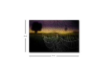 Lerretsbilde med LED-belysning - Spindelvev med duggdråper i mykt lys - Svart / Grå / Gull - Interiør - Maleri & posters - Lerretsbilder