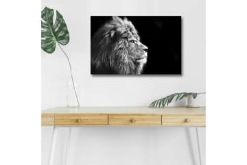 Lerretsbilde med LED-belysning - Statig løveprofil i svart-hvitt - Svart / Grå - Interiør - Maleri & posters - Lerretsbilder