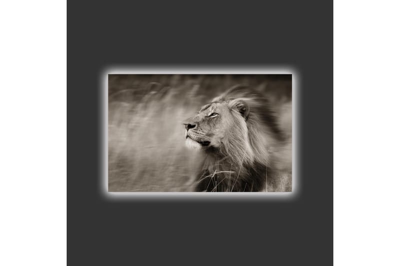 Lerretsbilde med LED-belysning - Statig løveprofil i svart-hvitt - Svart / Grå - Interiør - Maleri & posters - Lerretsbilder