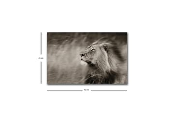 Lerretsbilde med LED-belysning - Statig løveprofil i svart-hvitt - Svart / Grå - Interiør - Maleri & posters - Lerretsbilder