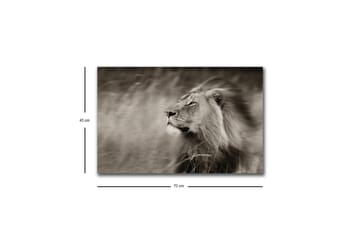 Lerretsbilde med LED-belysning - Statig løveprofil i svart-hvitt - Svart / Grå - Interiør - Maleri & posters - Lerretsbilder