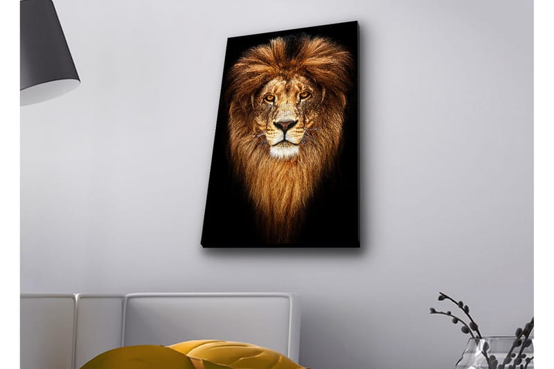 Lerretsbilde med LED-belysning - Statlig løvehode med majestetisk manke - Gull / Svart / Brun - Interiør - Maleri & posters - Lerretsbilder