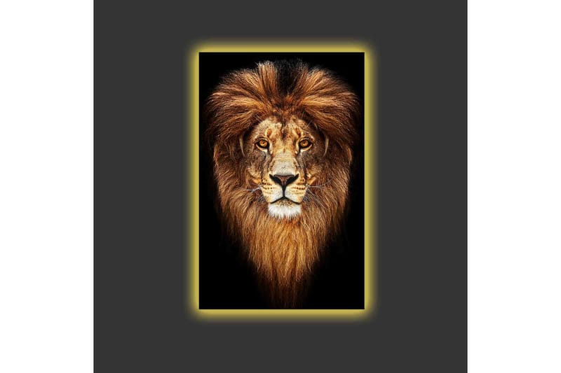 Lerretsbilde med LED-belysning - Statlig løvehode med majestetisk manke - Gull / Svart / Brun - Interiør - Maleri & posters - Lerretsbilder