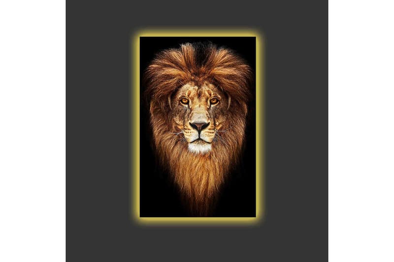 Lerretsbilde med LED-belysning - Statlig løvehode med majestetisk manke - Gull / Svart / Brun - Interiør - Maleri & posters - Lerretsbilder