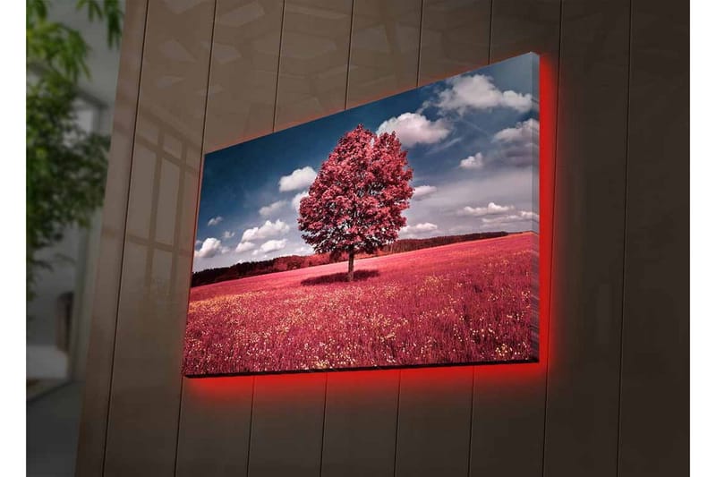 Lerretsbilde med LED-belysning - Statlig rosa tre på en fargerik eng - Rosa / Grønn / Blå - Interiør - Maleri & posters - Lerretsbilder