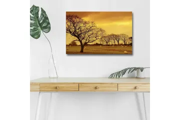 Lerretsbilde med LED-belysning - Stemningsfullt landskap med silhuetter av trær mot en gyllen himmel - Gull / Brun / Svart - Interiør - Maleri & posters - Lerretsbilder