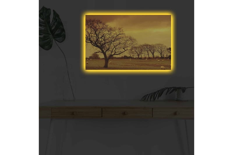 Lerretsbilde med LED-belysning - Stemningsfullt landskap med silhuetter av trær mot en gyllen himmel - Gull / Brun / Svart - Interiør - Maleri & posters - Lerretsbilder