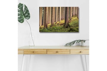 Lerretsbilde med LED-belysning - Stille skog med høye trær og frodig grøntområde - Grønn / Brun / Beige - Interiør - Maleri & posters - Lerretsbilder