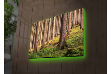 Lerretsbilde med LED-belysning - Stille skog med høye trær og frodig grøntområde - Grønn / Brun / Beige - Interiør - Maleri & posters - Lerretsbilder