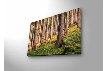 Lerretsbilde med LED-belysning - Stille skog med høye trær og frodig grøntområde - Grønn / Brun / Beige - Interiør - Maleri & posters - Lerretsbilder