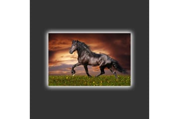 Lerretsbilde med LED-belysning - Stolt svart hest galopperer over en grønn eng - Svart / Grønn / Oransje - Interiør - Maleri & posters - Lerretsbilder