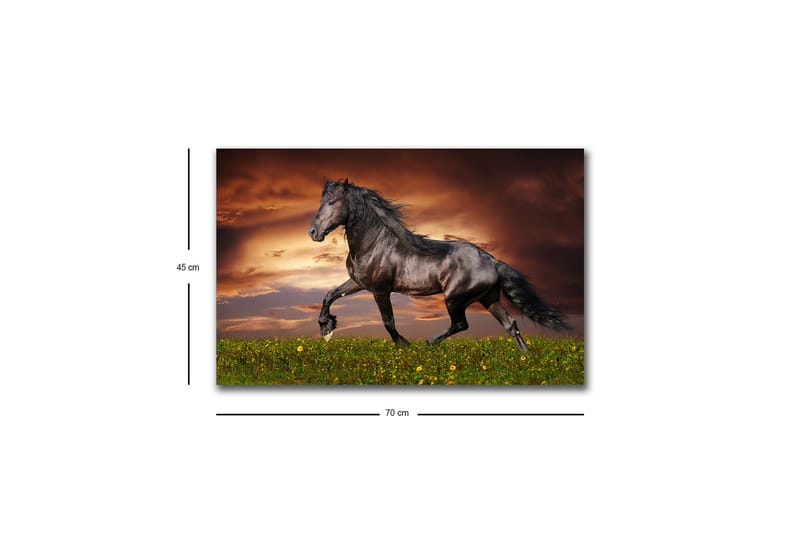 Lerretsbilde med LED-belysning - Stolt svart hest galopperer over en grønn eng - Svart / Grønn / Oransje - Interiør - Maleri & posters - Lerretsbilder