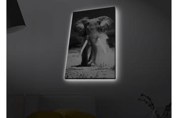 Lerretsbilde med LED-belysning - Storslått elefant i svart-hvitt - Svart / Hvit - Interiør - Maleri & posters - Lerretsbilder