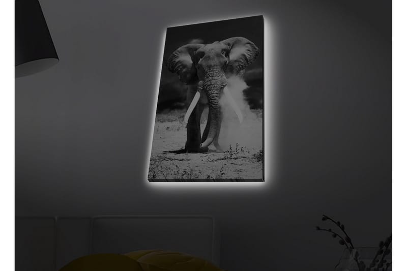Lerretsbilde med LED-belysning - Storslått elefant i svart-hvitt - Svart / Hvit - Interiør - Maleri & posters - Lerretsbilder