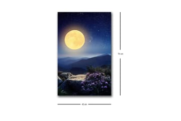 Lerretsbilde med LED-belysning - Storslått måne over et fjernt fjellandskap med blomster i forgrunnen - Mørk blå / Gul / Lilla - Interiør - Maleri & posters - Lerretsbilder