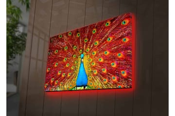 Lerretsbilde med LED-belysning - Storslått påfugl med spredte fjær i livlige farger - Rød / Blå / Grønn - Interiør - Maleri & posters - Lerretsbilder