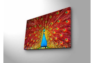 Lerretsbilde med LED-belysning - Storslått påfugl med spredte fjær i livlige farger - Rød / Blå / Grønn - Interiør - Maleri & posters - Lerretsbilder