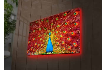Lerretsbilde med LED-belysning - Storslått påfugl med spredte fjær i livlige farger - Rød / Blå / Grønn - Interiør - Maleri & posters - Lerretsbilder